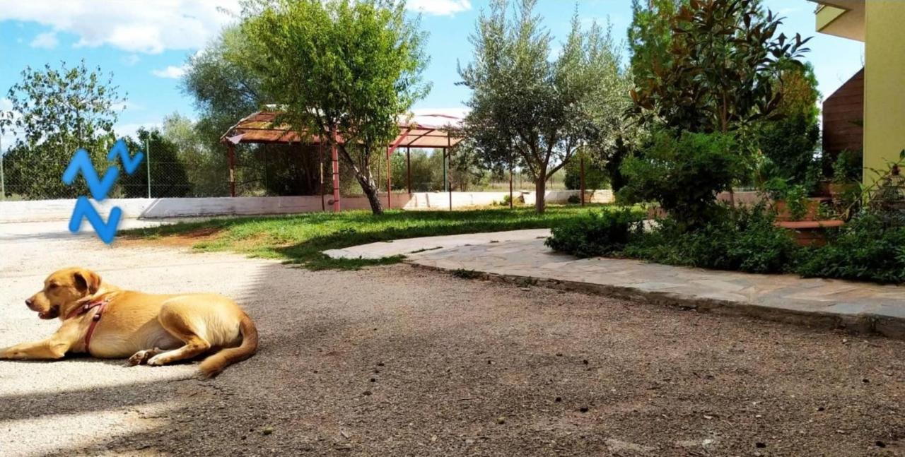 Ktima Anastasia Nafplio Bagian luar foto