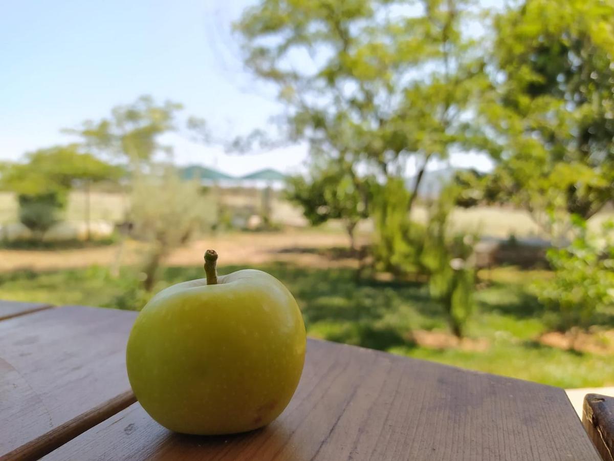 Ktima Anastasia Nafplio Bagian luar foto