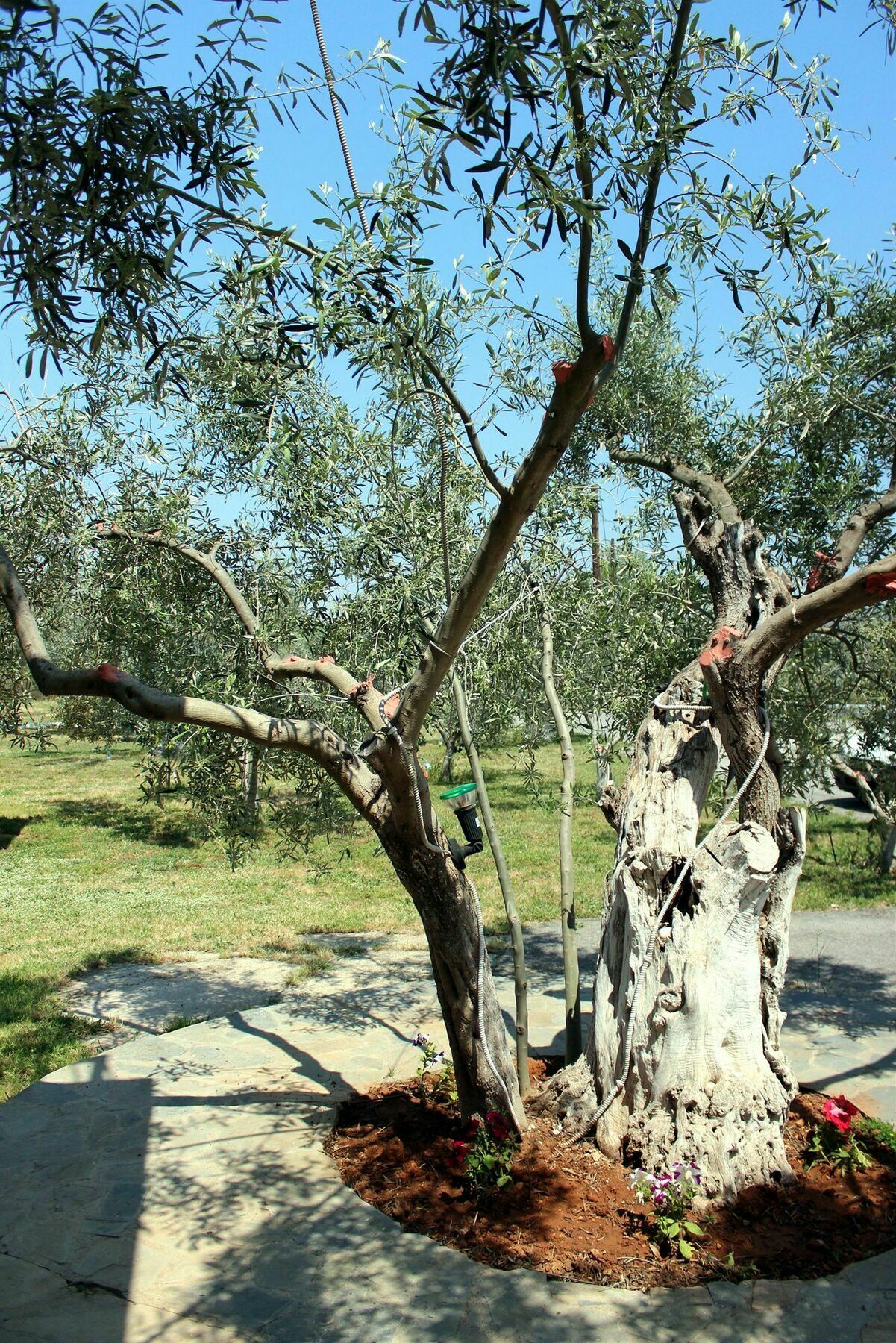 Ktima Anastasia Nafplio Bagian luar foto